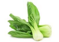 Bok Choy