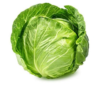 Cabbage