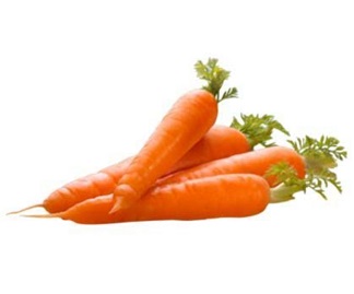 Carrot