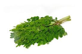 Drumstick Leaves