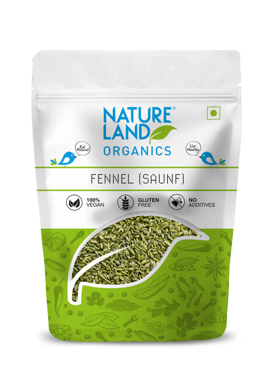 N L FENNEL(SAUNF) 100GMS