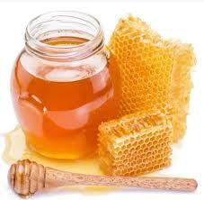 Wild Forest Honey