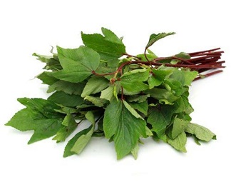 Roselle leaves/ Gongura
