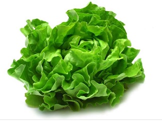Lettuce