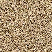 Little Millet