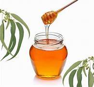 EUCALYPTUS/SAFEDA HONEY