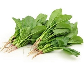 Katta Palak / Chukka Kura