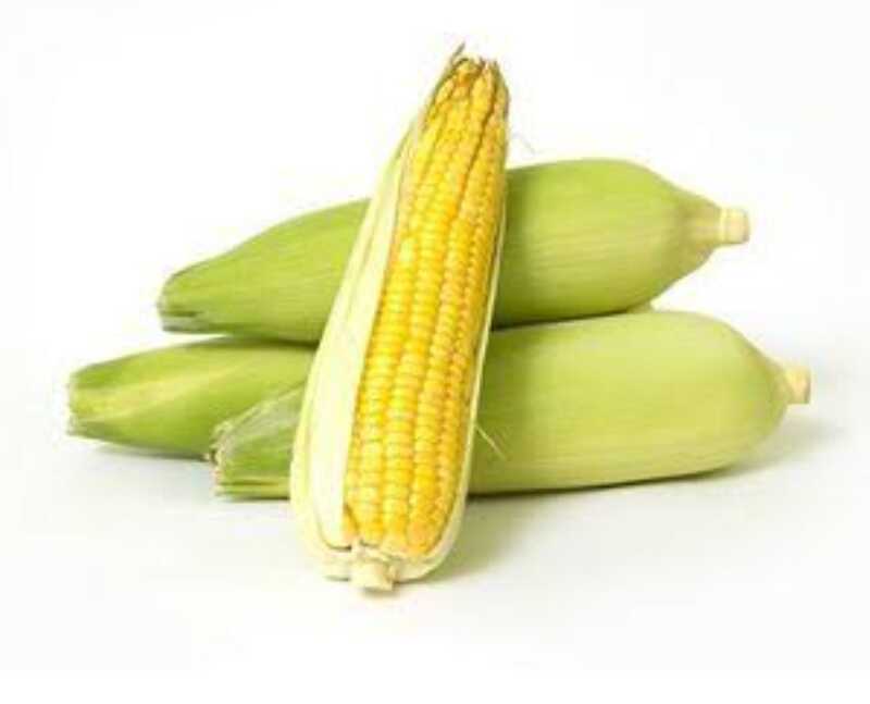 Sweet Corn -1 Pcs