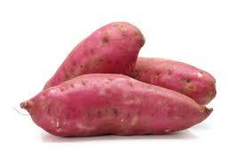 Sweet Potato